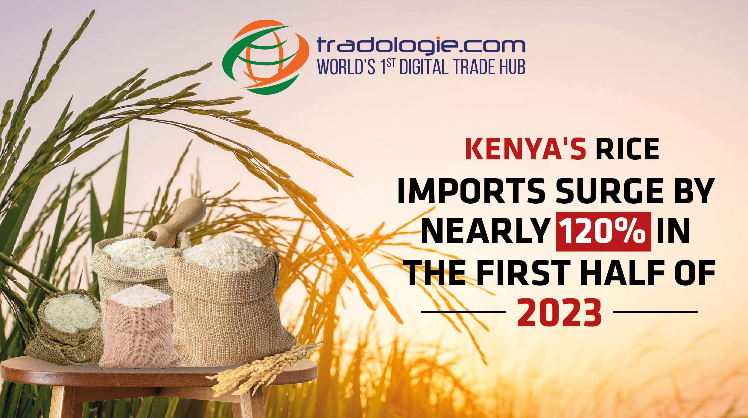 Kenya S Rice Imports Surge By Nearly 120 In The First Half Of 2023