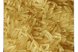 1509 GOLDEN PARBOILED head rice