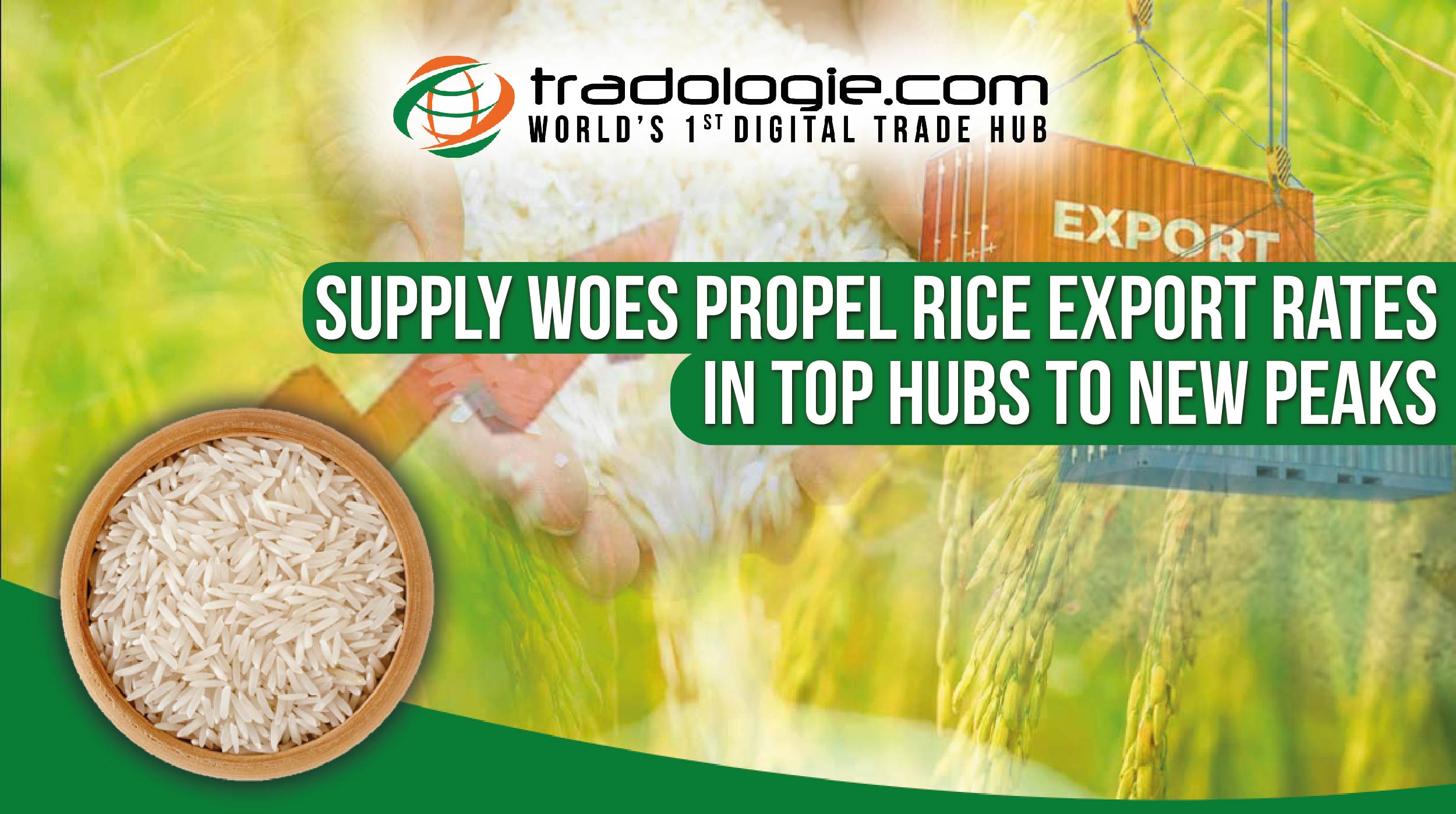 supply-woes-propel-rice-export-rates-in-top-hubs-to-new-peaks