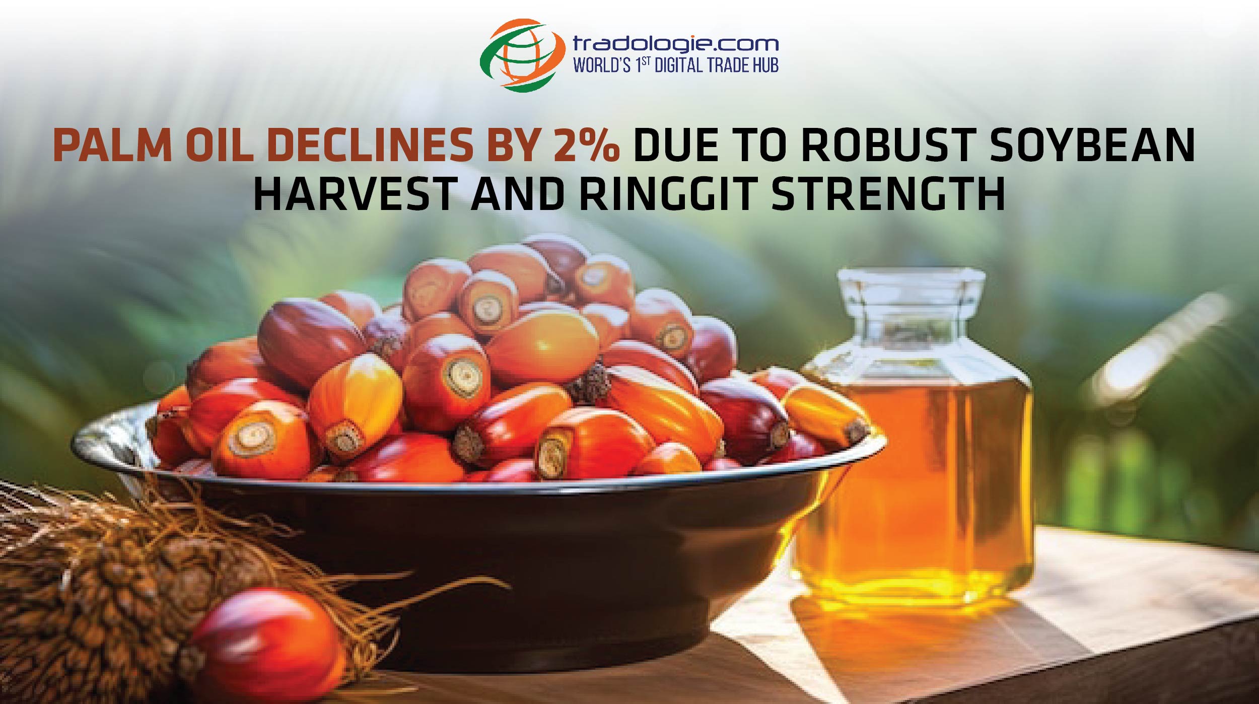 palm-oil-declines-by-2-due-to-robust-soybean-harvest-and-ringgit-strength