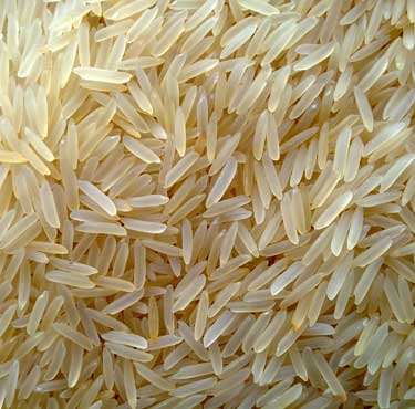golden-sella-rice